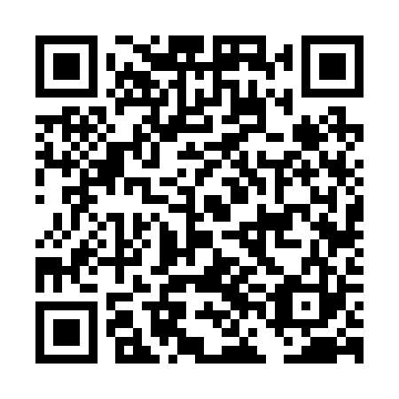 QR code for DFF 223