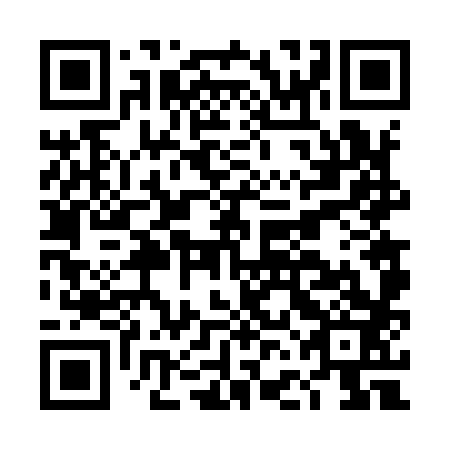 QR code for plate DFF 983