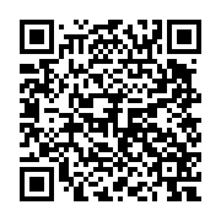 QR code for DFG 466