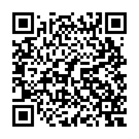 QR code for plate DFG 317