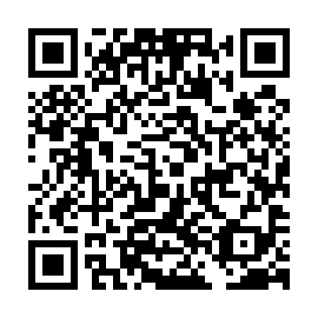 QR code for DFM 599