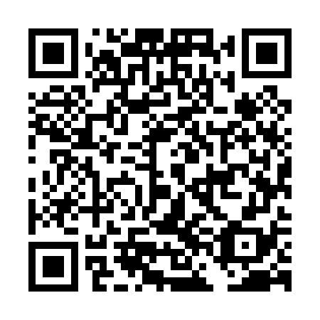 QR code for plate DFM 078