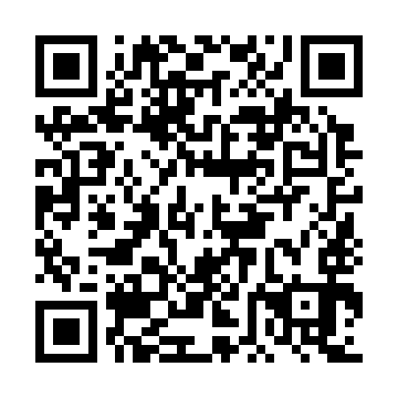 QR code for DFN 393
