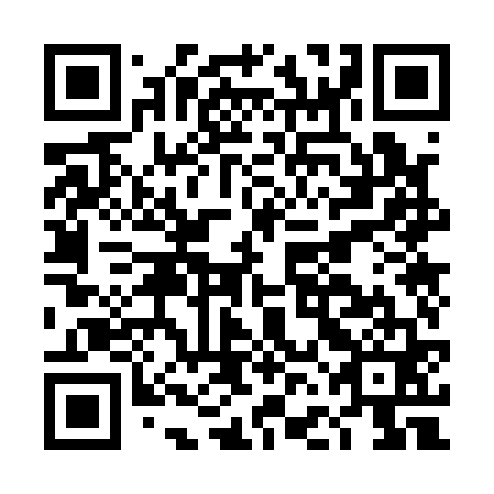QR code for plate DFO 161