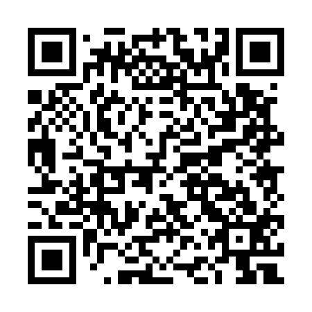 QR code for DFP 513