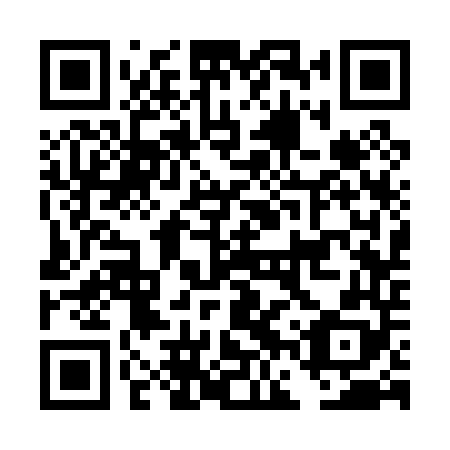 QR code for DFS 048