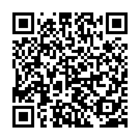 QR code for DFS 878