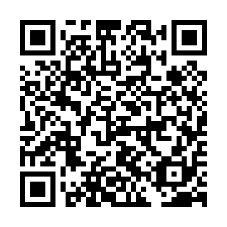 QR code for plate DFS 010