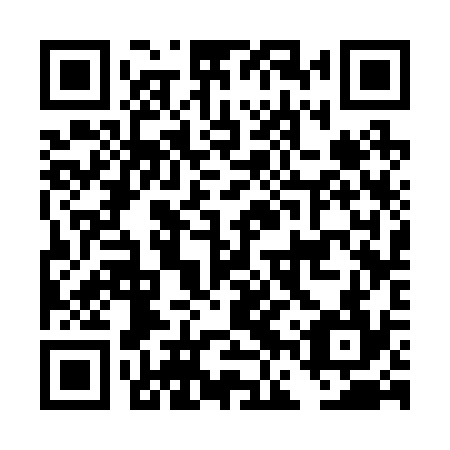 QR code for DFS234