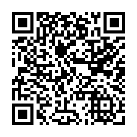QR code for DFS994