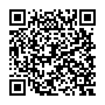 QR code for plate DFT 156