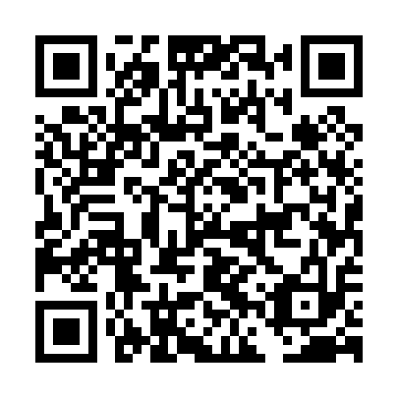 QR code for DFU 013