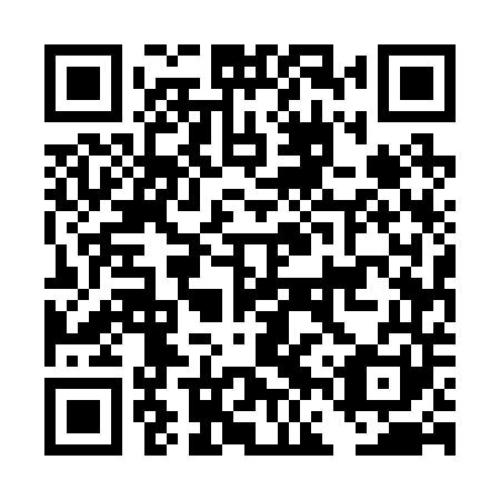 QR code for plate DFU 241