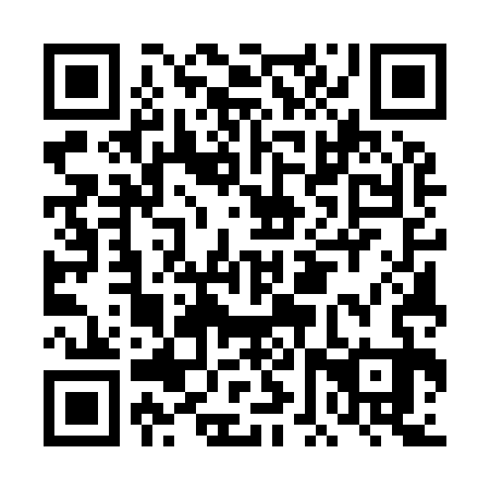 QR code for plate DFU 933