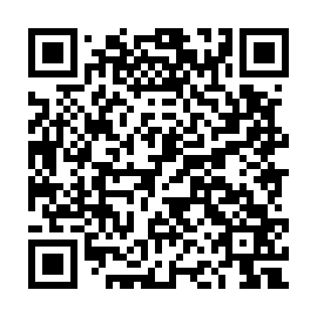 QR code for plate DFX 563