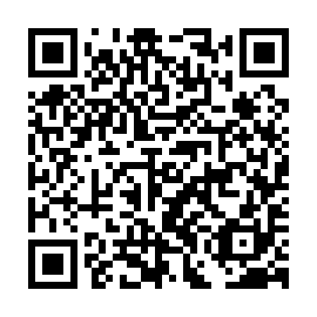 QR code for plate DGG 190