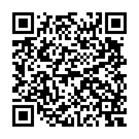 QR code for DGS 482