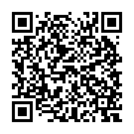 QR code for plate DGT 241