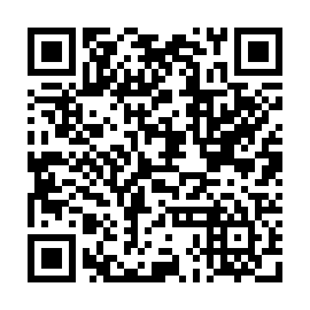 QR code for plate DHB 325