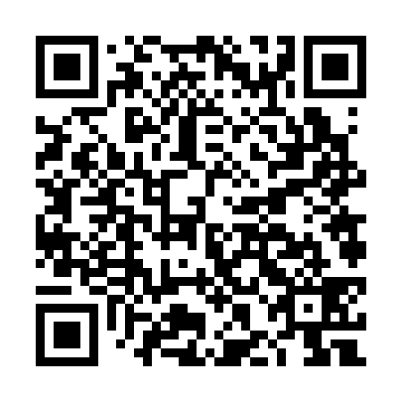 QR code for plate DHF 339