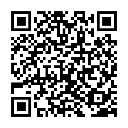 QR code for plate DHK 238