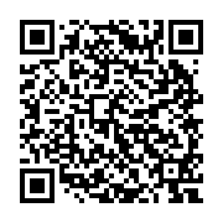 QR code for DHO 290