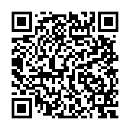 QR code for DHS 595