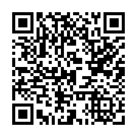 QR code for plate DHS 971