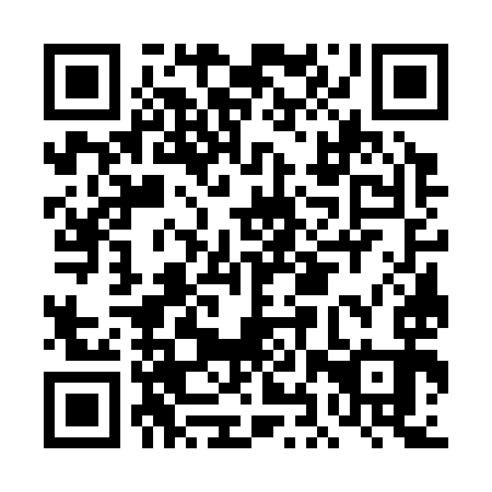 QR code for DHW 393