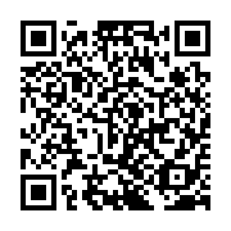 QR code for DIC 318