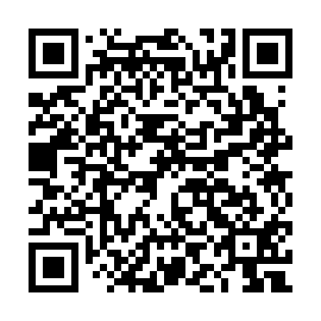 QR code for plate DIC 311
