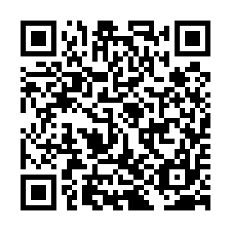 QR code for plate DIC 517
