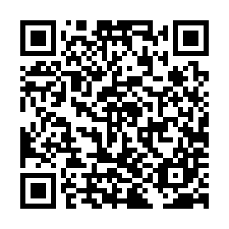QR code for DID 387