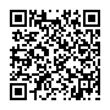 QR code for DIE333