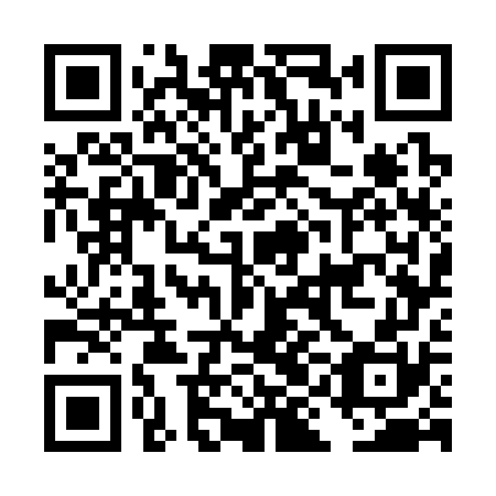 QR code for plate DIG 370