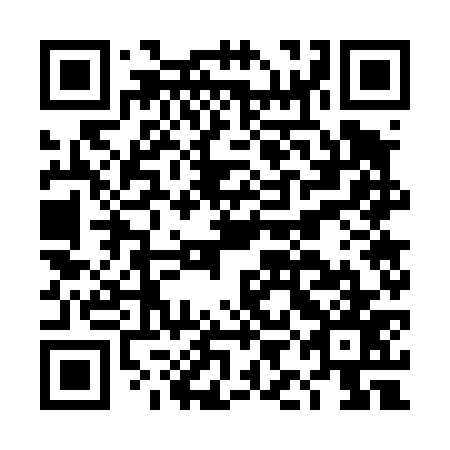 QR code for DIG477