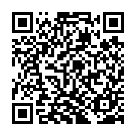 QR code for plate DIG 607