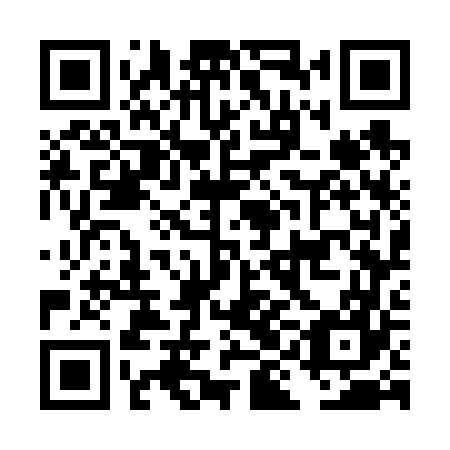 QR code for plate DIG 667