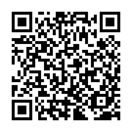 QR code for DII 080