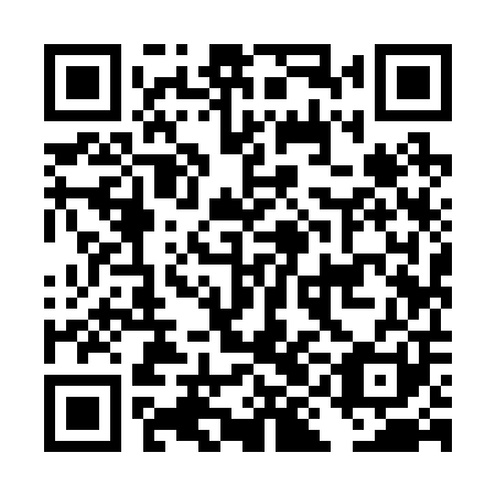 QR code for DII 201