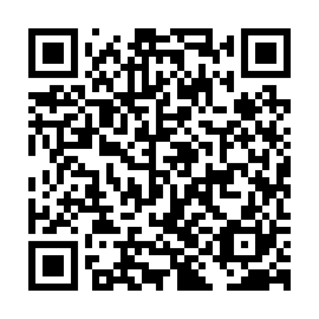 QR code for plate DII 220