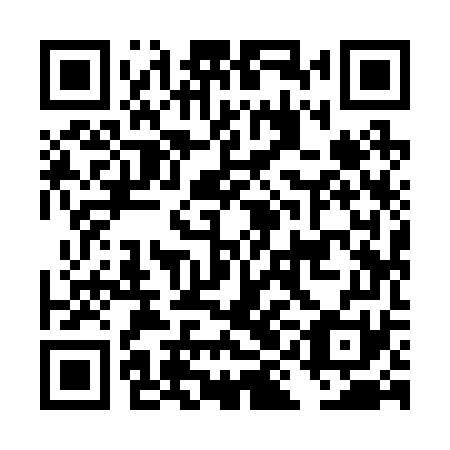 QR code for plate DII 271