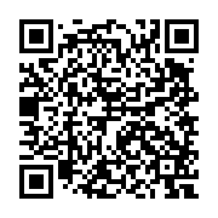 QR code for plate DIJ 483