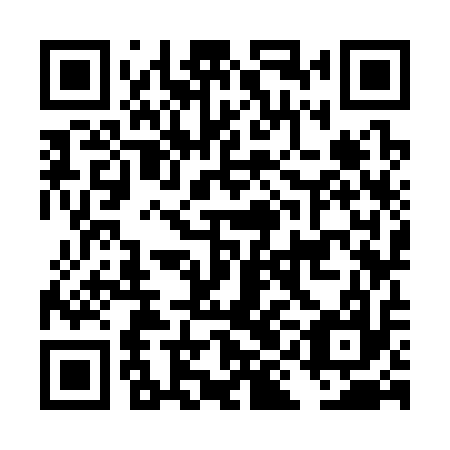 QR code for DIK317