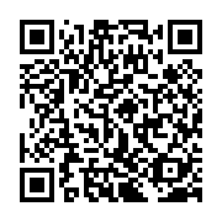 QR code for plate DIM 029