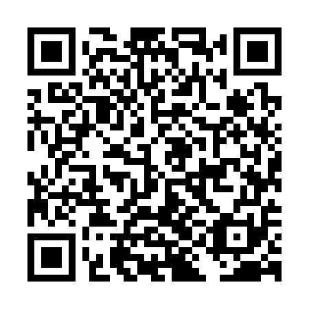 QR code for plate DIM 351