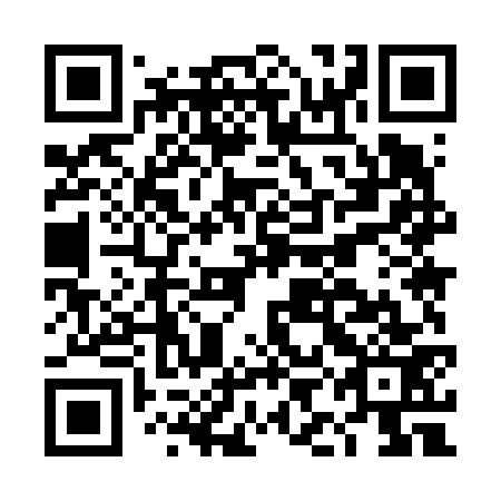 QR code for plate DIM 673