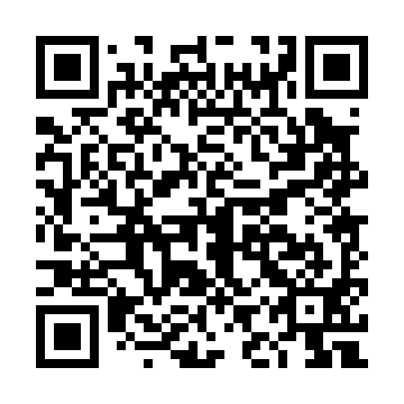 QR code for DIP 091