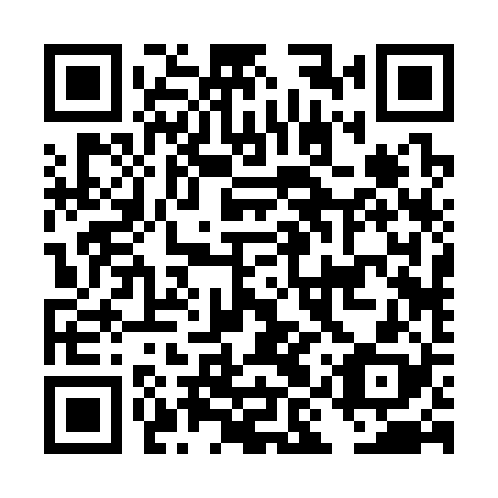 QR code for DIR 328