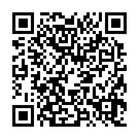 QR code for DIS 336